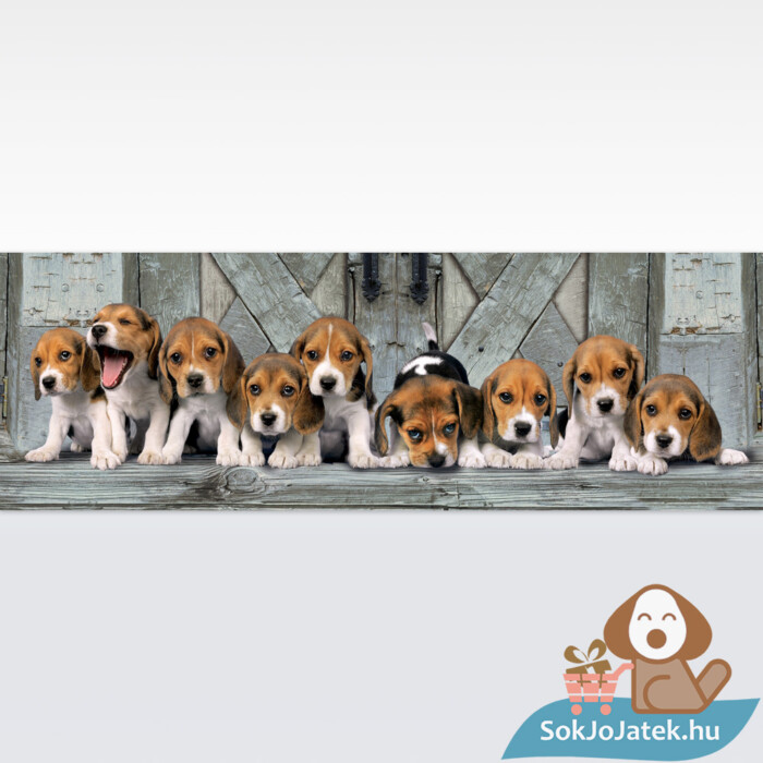 Beagle kutyák panoráma puzzle képe, 1000 db (Clementoni 39435)