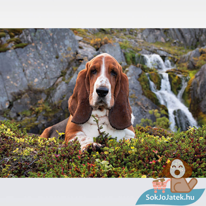 Charlie Brown Beagle kutyás puzzle képe, 1000 db (Clementoni 39511)