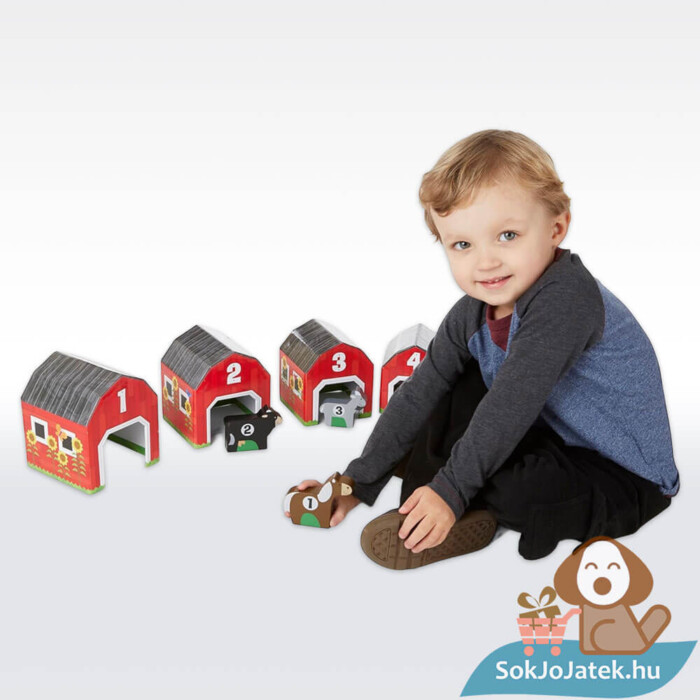 Ól soroló, párosító és rakosgató fejlesztő játék gyerekeknek, 6 óllal és 6 állattal (Melissa & Doug)