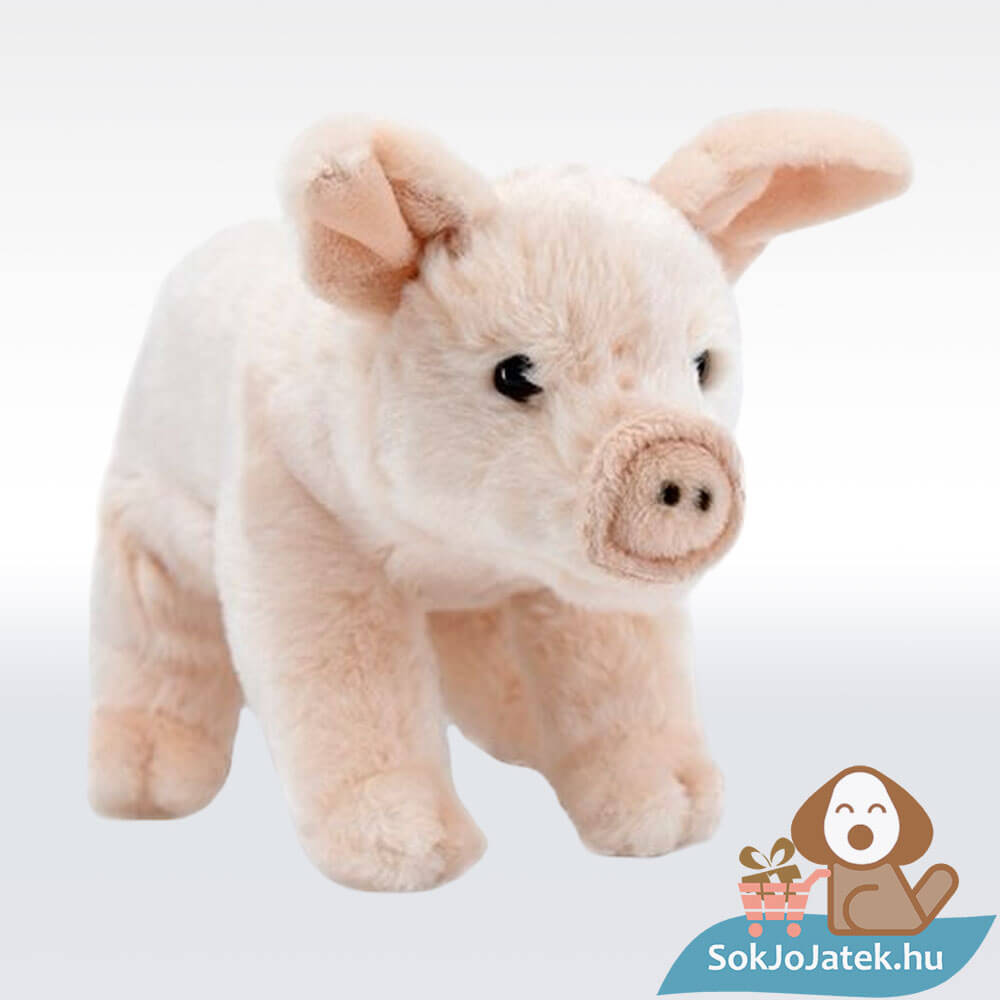 Plüss házimalac, 20 cm (Rappa)