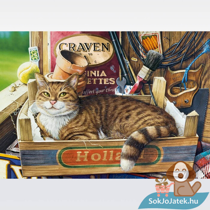 Macska a ládában puzzle képe, 500 db-os (Castorland, Fothergill, B-53476)