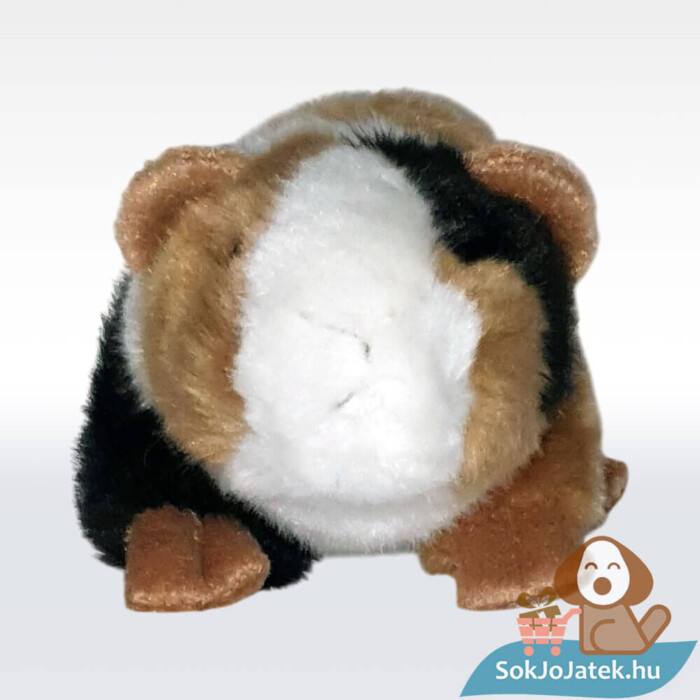 Élethű tengerimalac plüss előről (18 cm)
