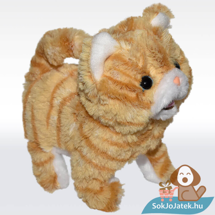 Füli, a sétáló, nyávogó skót lógófülű plüss cica balról (20 cm)