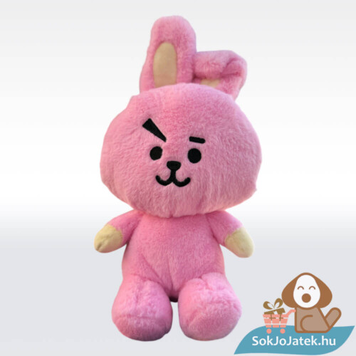 BT21: Cooky, a rózsaszín plüss nyúl, 26 cm, Jungkook karaktere