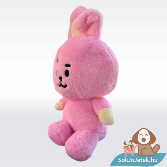 BT21: Cooky, a rózsaszín plüss nyúl, 26 cm, Jungkook karaktere balról
