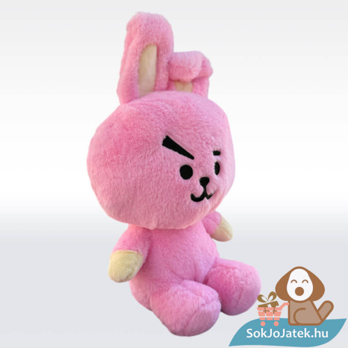 BT21: Cooky, a rózsaszín plüss nyúl, 26 cm, Jungkook karaktere jobbról