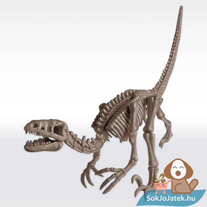 Dinoszaurusz régész készlet: Velociraptor kiásva (4M)