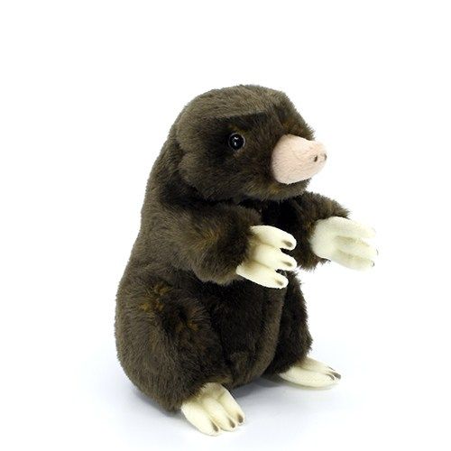 20516cafe0d50707c78adf2dfe3ceba790aef977 656ad5c2c287e78bf84a4675ddd7eb06c598e9ac