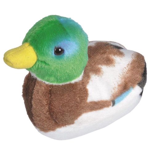 fbc5d255350056bb8bd03d8588523453ab98fdcc 23b1d7f593385b9f961346266f2f08188daf6710